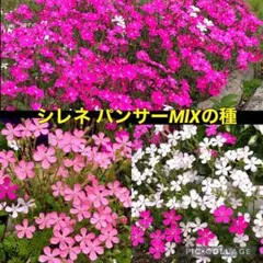 Leaf様 リクエスト 2点 まとめ商品