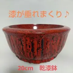2026年最新】会津塗 菓子鉢の人気アイテム - メルカリ
