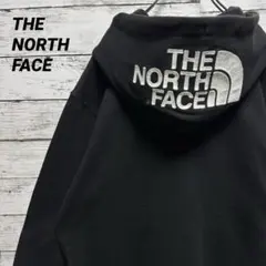 919a【美品】ノースフェイス　リアビュー　人気のL　フルジップパーカー