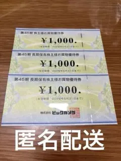 ビックカメラ　株主優待　3,000円分