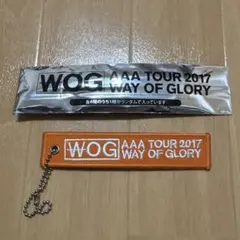WOG AAA TOUR 2017 WAY OF GLORY キーホルダー