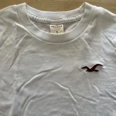 Hollister ホワイト Tシャツ S