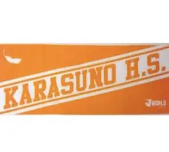 Item thumbnail for item dc7bff8c-e8ff-4c1c-89b8-aa3cf41280e5