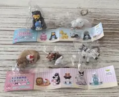 サンリオ 天王寺動物園コラボフィギュア5点セット