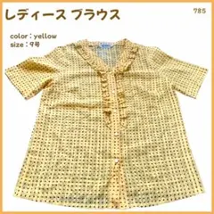 【大特価】 ブラウス カットソー Tシャツ 半袖 レディース 婦人 9号 785