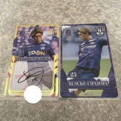 Item thumbnail for item e61ea3e7-044e-45c6-bf3b-706c3d4cadb5