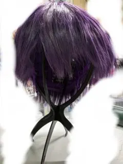 にじさんじ 剣持刀也 コスプレ ウィッグ セット済
