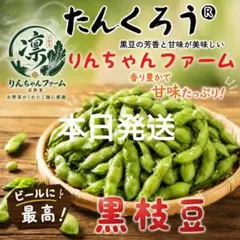 ⑤⓪りんちゃんファーム たんくろう 黒枝豆のサムネイル