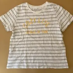 ボーダー ロゴTシャツ ホワイト グレー Lサイズ 綿100%のサムネイル