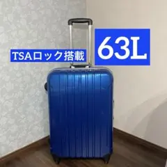 インインちゃん様専用 アメリカンツーリスター キャリーケース