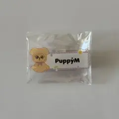 StrayKids スンミン dominATE ネームバッチ skzoo