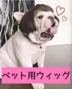 Item thumbnail for item b92e2329-01ef-430d-a6ab-4f9e73db745e