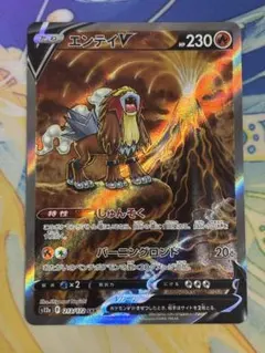 [美品] エンテイV SAR 213/172