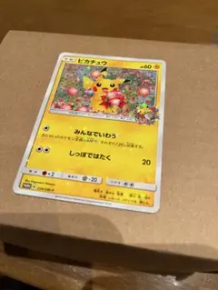 [美品]みんなでいわうピカチュウ　プロモ　224/SM-P