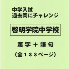 【漢字＋語句】啓明学院中学校（兵庫）の過去問（555円割引）のサムネイル