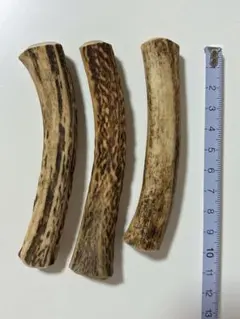 2026-228 鹿の角3本☆鹿の角☆シカの角☆蝦夷鹿☆本州鹿☆犬のおもちゃ
