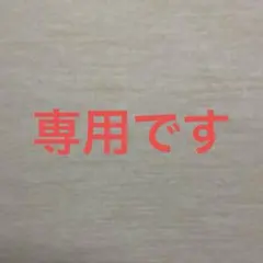 専用です。