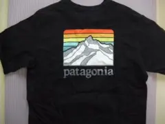 Patagonia パタゴニア ポケットTシャツ ブラック 山ロゴ　表記Ｓ（ML