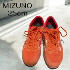 Item thumbnail for item ea37b390-6418-4956-bb02-788f458c0e09