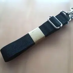 Item thumbnail for item 1bd8d3ee-6f3e-4823-b089-807e7912c512