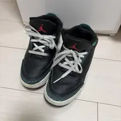 NIKE Air Jordan 3 スニーカー　21cm グリーン&ブラック