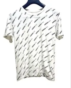 Item thumbnail for item b4e3e999-bab7-4978-b795-f6f659c58afb