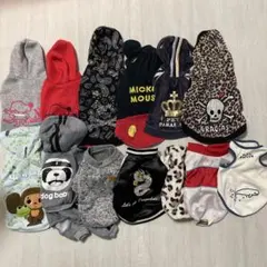 Item thumbnail for item cf212e12-89a5-4a96-bd5f-1f19f082cbef