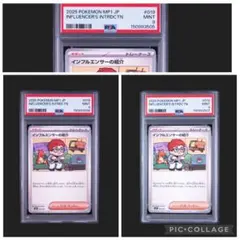 PSA9 ホゲータ ステッカー ピカチュウ賞 ポケモンセンター シール