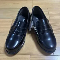 Item thumbnail for item 8ca1ee49-e411-47d2-92d6-aa51bce5c556