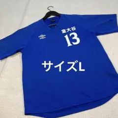 2026年最新】室蘭大谷の人気アイテム - メルカリ