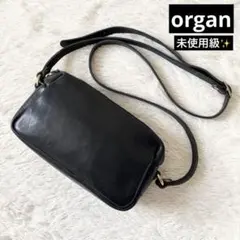 未使用級✨Organ オルガン　G-80 Leather Minerva Boxのサムネイル