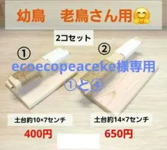 Item thumbnail for item 28659a09-8295-4f76-8b15-3dea1dc20e3a