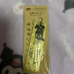 ノーザンホースパーク 名馬シリーズ キタサンブラック キーホルダー