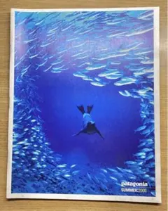 Patagonia パタゴニア カタログ2006 SUMMER 貴重 アウトドアのサムネイル
