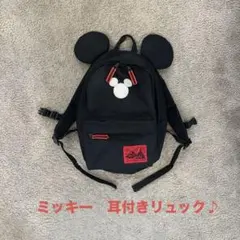 東京ディズニーリゾート ミッキーリュック