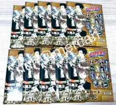 家庭教師ヒットマンREBORN！ステータスカードコレクション 未開封 10点