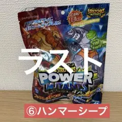 【未使用】ハンマーシープ　ブックレット ストレッチーズ　パワーミュータ