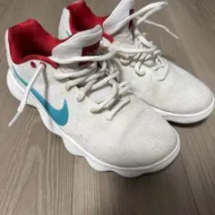 HYPERDUNK 2017 LOW EP ハイパーダンク 日本国旗カラー 赤白 - メルカリ