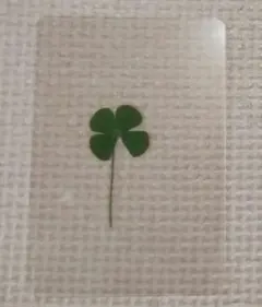 2026年最新】四つ葉のクローバー しおりの人気アイテム - メルカリ
