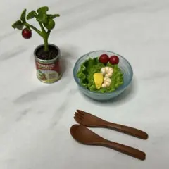 リーメント ぷちサンプルシリーズ⑥キッチン菜園のサラダ