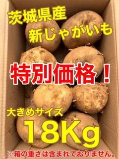 無農薬】 千葉県産 新じゃがいも インカのめざめ 8kg - メルカリ