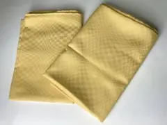 Item thumbnail for item 95f02f38-f4e6-4b83-aeb4-b416d588d251