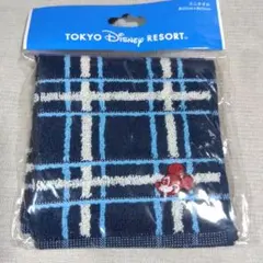TOKYO DISNEY RESORT ミニタオル チェック柄