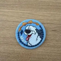 刺繍ステッカー　ディズニー　セリア　マックス