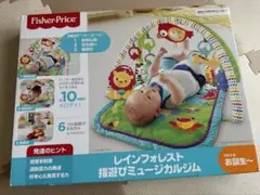 フィッシャープライス レインフォレスト 指遊びミュージカルジム 箱ありのサムネイル