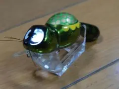 2026年最新】アライくん ZEALの人気アイテム - メルカリ