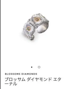 2025年最新】ブチェラッティ デイジーリングの人気アイテム - メルカリ