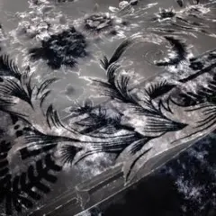 Item thumbnail for item 5bae300a-1ced-4400-95e4-f587a1c13614