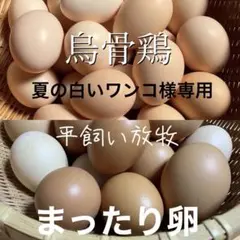 夏の白いワンコ様専用　烏骨鶏の卵20個　まったり卵20個　同梱のサムネイル
