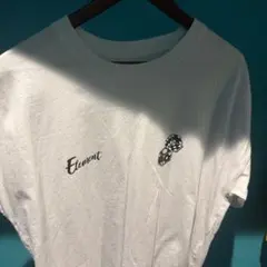 Element Tシャツ ダイスロゴ ホワイトのサムネイル